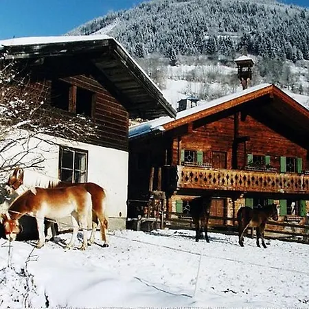 Haus Stefin